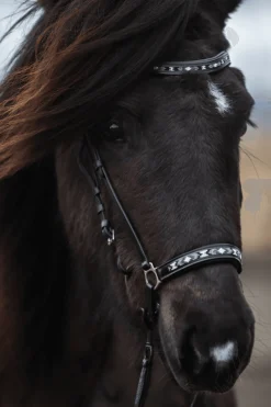 Top Reiter Perla Hodelag< Islandshest Hodelag