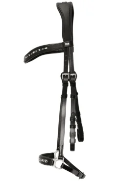 Top Reiter Perla Hodelag< Islandshest Hodelag