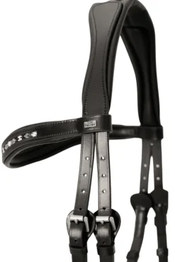 Top Reiter Perla Hodelag< Islandshest Hodelag