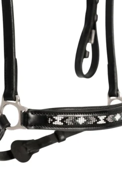 Top Reiter Perla Hodelag< Islandshest Hodelag