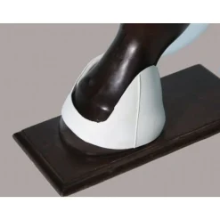 Top Reiter Skalper< Islandshest Belegg