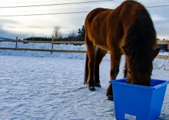 Heimer Varmebalje 60 liter inkl. omformer - Blå< Fôring Og Vanning