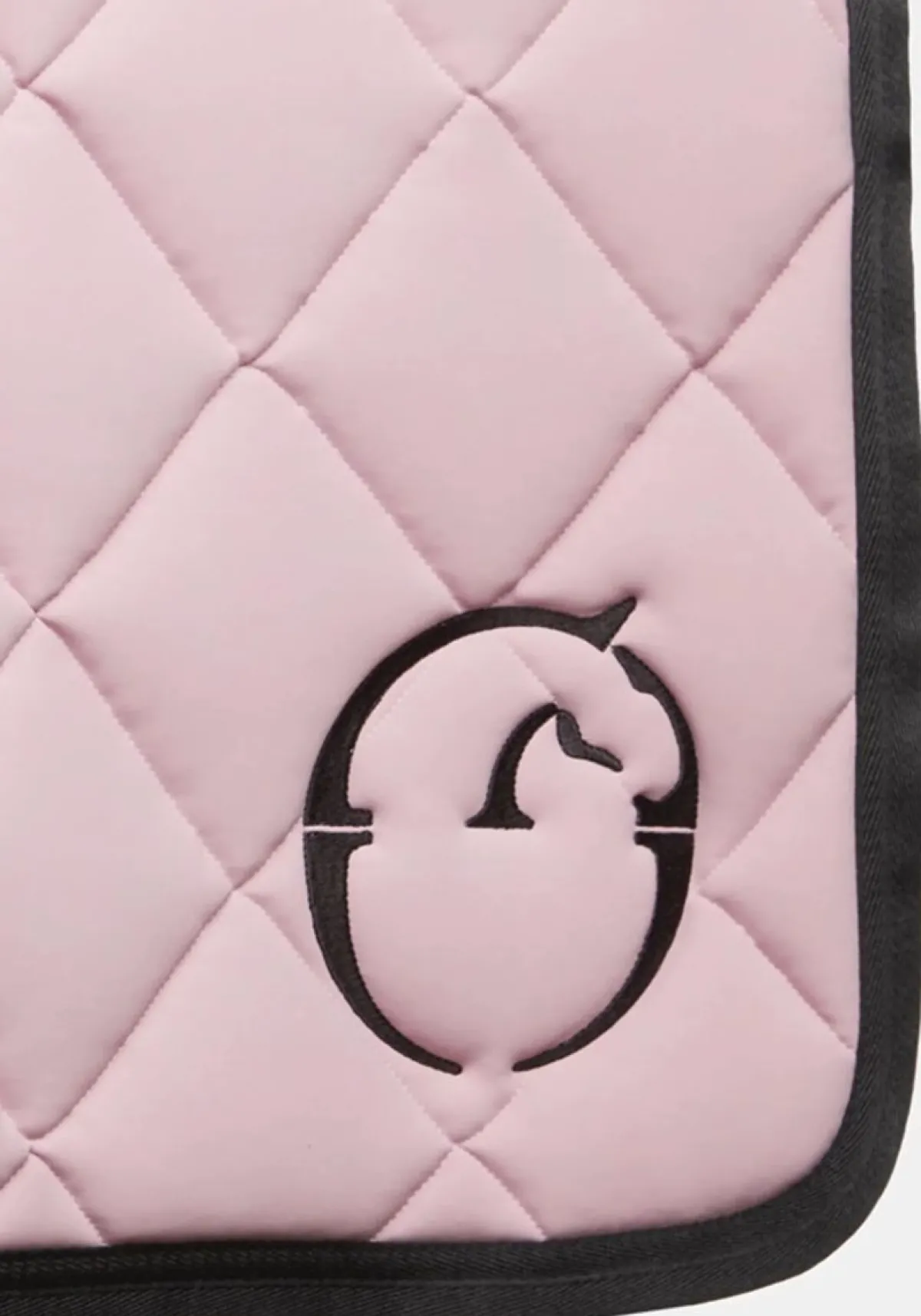 Vestrum Los Angeles Sprang Schabrak -< Sprang Og Allround Schabracker